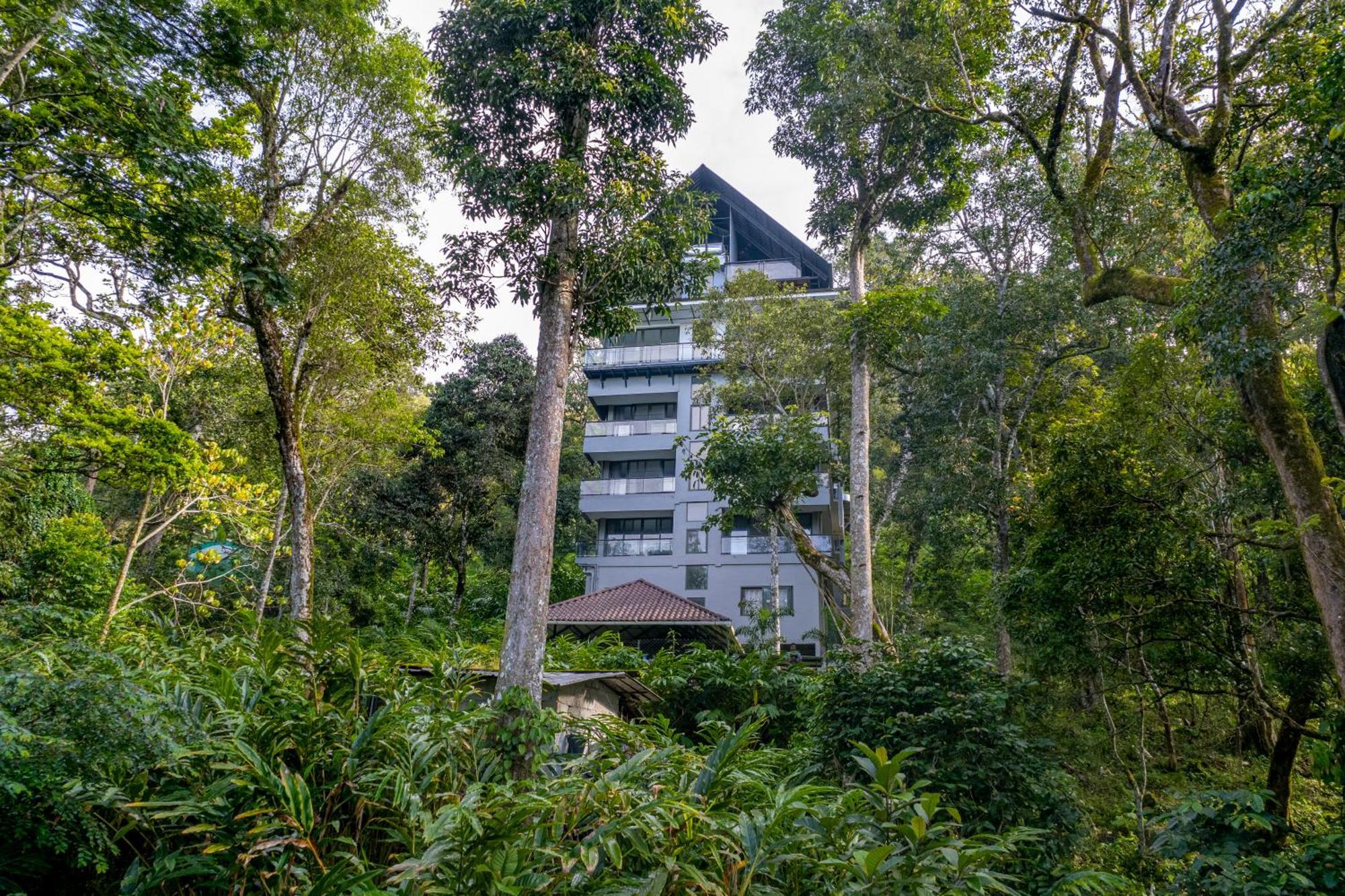 K Mansion Apartment Munnar Bagian luar foto